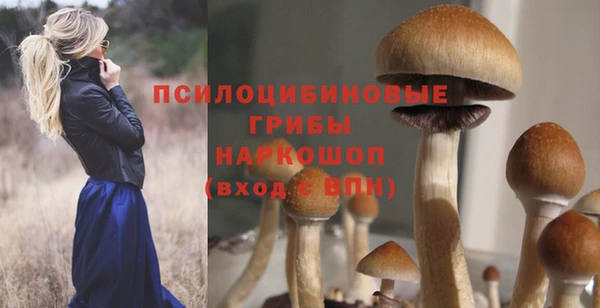 спайс Алзамай