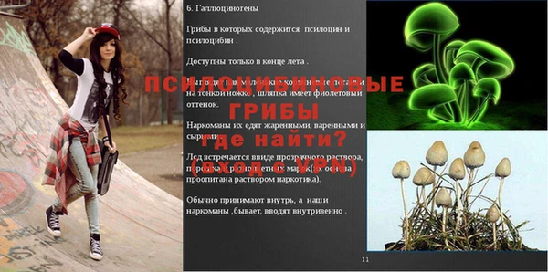 шишки Алексин