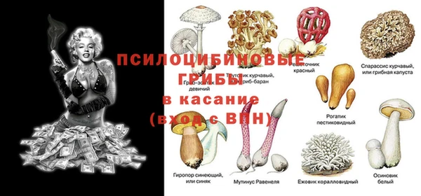 шишки Алексин