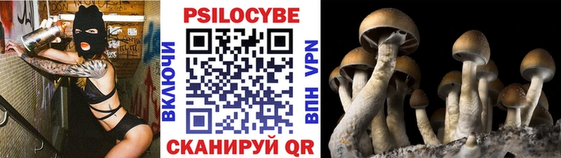 Псилоцибиновые грибы мицелий Люберцы