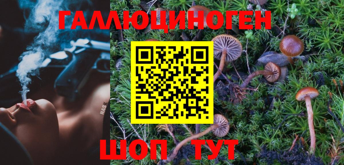 Галлюциногенные грибы прущие грибы Люберцы